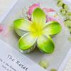 Plumeria Claw Clip: European & American Stylish Hair Accessory for Updos