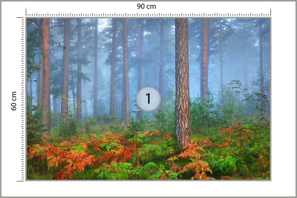 Fototapeta Les v mlze, netkaná, 90x60