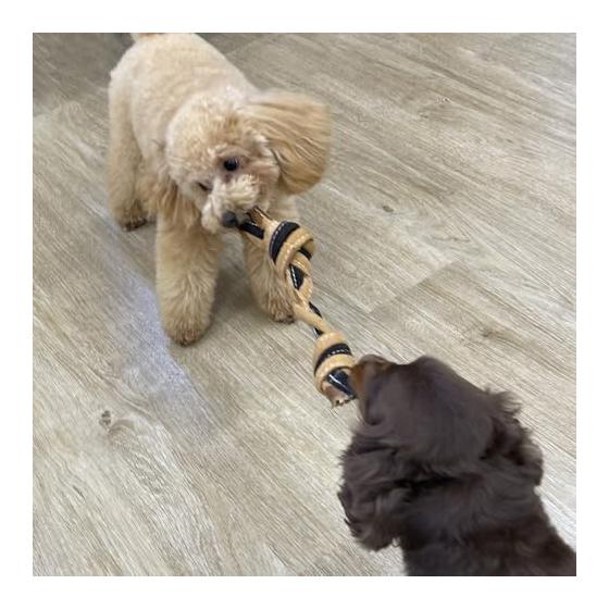 Doggyman Cowhide Rope Toy Bones X 2