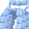 Massage Roller for Legs Calf Tool 29 Wheels Leg Clamp Fitness Physical Gym