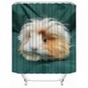 Custom High Quality Guinea Pig Shower Curtain Waterproof Bathroom Polyester Fabric Bathroom Curtain