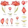 4sheets/set Wall  Stickers Of Removable Poppy Watercolor Inkjet For Bedroom Living Room Decoration