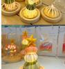 DIY Luminous Sea Urchin Night Light Kit - Birthday Gift for Girlfriend