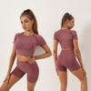 Seamless Women's Yoga and Fitness Two-Piece Set: Short Sleeve Top and Shorts