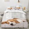 Border collie Bedding Set for Kids Boys, Cute Dog Cat Printed Duvet Cover Set, Twin/Full/Queen/King Bed Linen 200x200 140x200