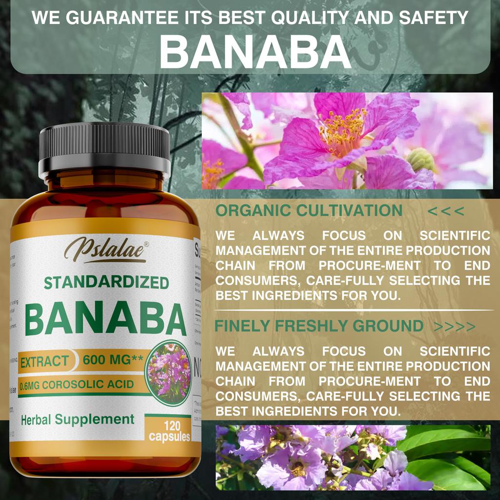 Pslalae Barnabas Leaf Dietary Supplement, containing high-purity barnabas leaves, 600mg standard formula, for daily nutritional supplementation.
