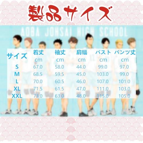 [Formemory] Aoba Johsai High School Volleyball Jersey, Long Sleeve, Sportswear, Featuring Oikawa Toru, Iwaizumi Hajime, Kindaichi Yuutaro, and Kunimi