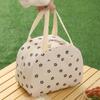Large Capacity Picnic Bag Aluminum Foil Insulated Lunch Bag Portable Cosmetic Storage Bag  Outdoor