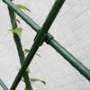 50pcs Plant Support Trellis Connector - 8mm - For Garden Frame Rod Grafting - Durable Metal - Suitable for Indoor & Outdoor Gardening