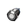 Lieve 12mm Flat Head Self-Locking Illuminated Metal Push Button Switch