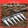 And Hoe Multitooth Dualuse Reinforced Rake For Soil Loosening And Weeding