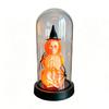 Yousheng Halloween Decoration, Lighted Skeleton in Clear Dome Cloche with Warm Glow, Battery Operated Skull Lamp with Witch Hat for Tabletop Mantel