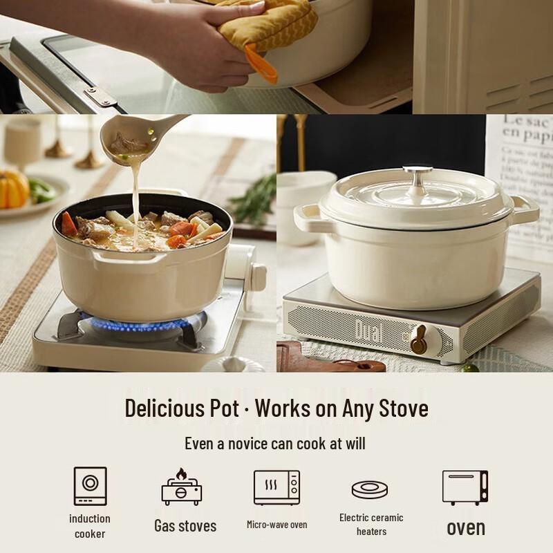 Enamel Cast Iron Stew Pot