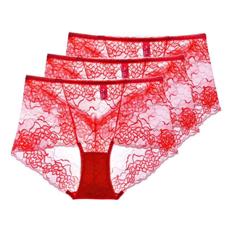 3 Pezzi Lingerie Sexy da Donna Vita Alta Slip in Pizzo Rete Trasparente Boyshorts Slip da Donna