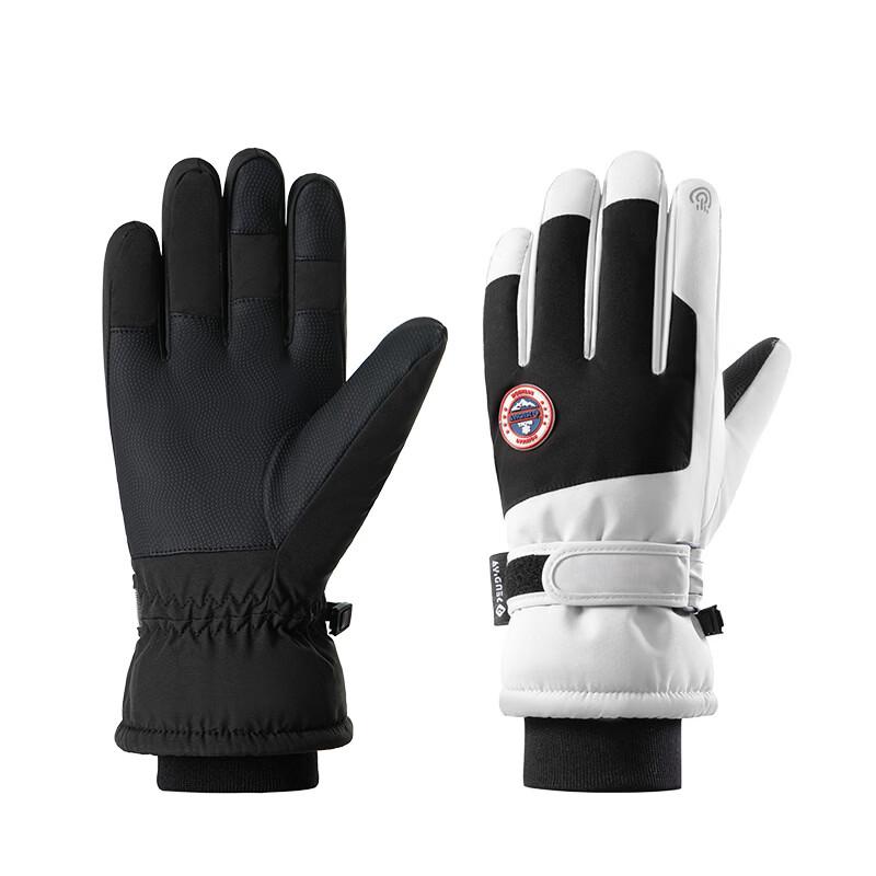 Ski and Cold Weather Gloves