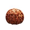 Old Tree High Toss Handcrafted Wenwan Lion Play Walnuts - Fine Pair of Four-Hand String for Men.