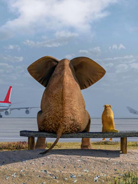 

Алмазная вышивка слон животное вышивка крестиком алмазная живопись закат мозаика горный хрусталь картина мультфильм домашний декор Full Round 20x25CM