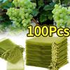 1-100 PIEZAS Bolsas de Protección para Fruta Uva Malla Anti-Pájaro Bolsa de Jardín Fresas Verdura Herramientas de Jardín Bolsas para Cultivo de Plantas