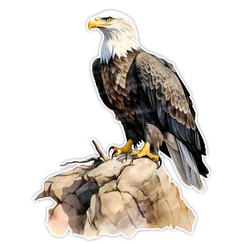 Eagle Standing on a Branch Car Sticker Waterproof Vinyl Decal on Bumper Rear Window Laptop Decal For Car Accessories Y161