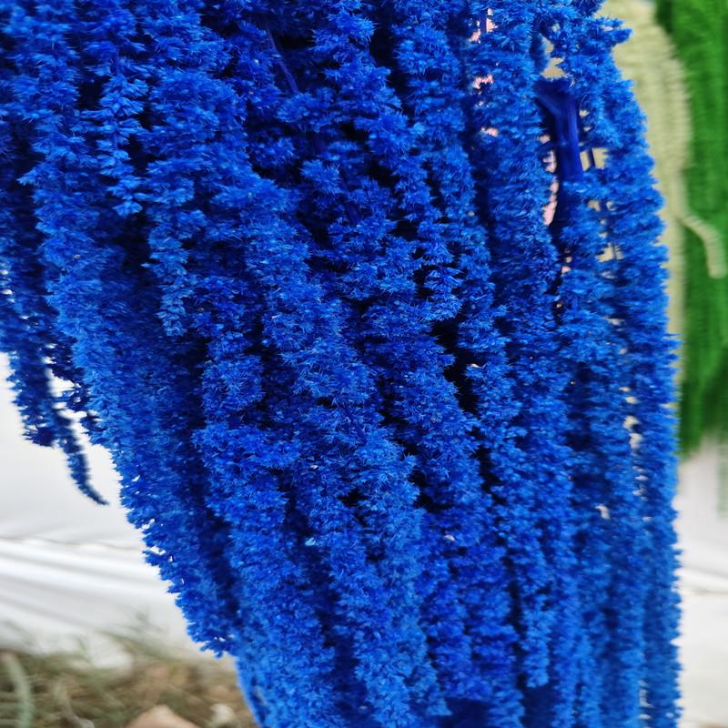 Hanging Rice Dried Preserved Flowers Wedding Decor 'Lover's Tears'