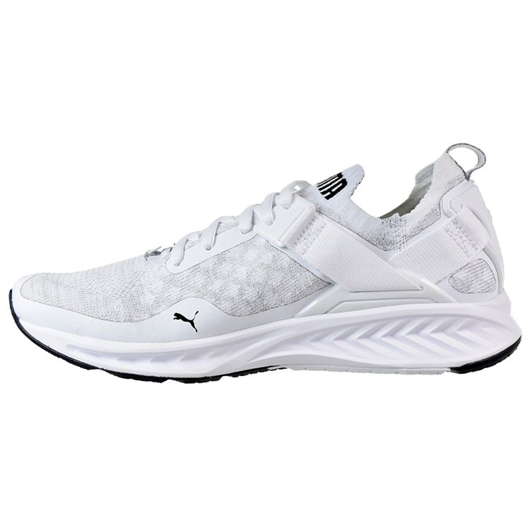 

Мужские кроссовки Puma Ignite Evoknit Lo White Vaporous-Gray Black 189904-02