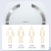 Westinghouse T202 Smart Body Fat Scale (CN Version)