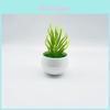 Realistic Faux Succulent Plant With Plastic Material For Living Rooms And Workspaces