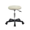 Dental Physician Stool with Backrest