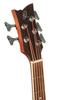 Ortega Acoustic Bass ACOUSTIC BASS DEEP SERIES Natural 812mm Scale D7CE-5 5-string