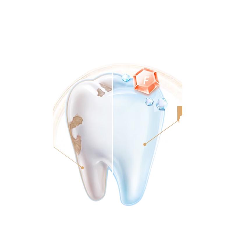 Dr. Tooth Gold Long-Lasting Anti-Cavity Toothpaste