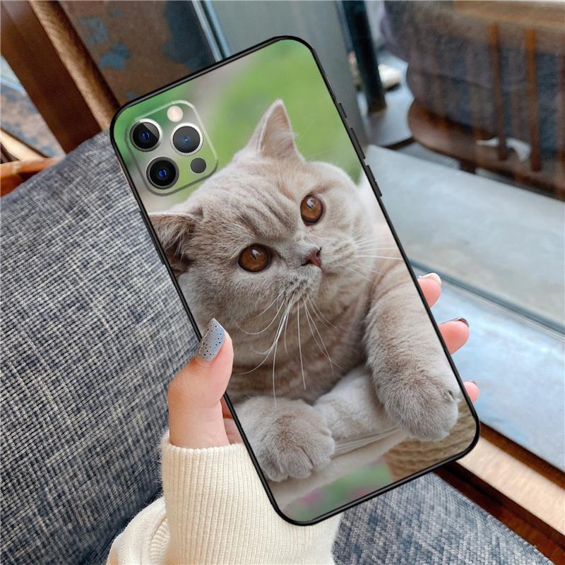 British Shorthair Cat Phone Case For iPhone 16 15 14 13 11 12 Pro Max 12 13 mini XR 15 16 Plus 16e Cover Shell