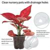 Transparent 10/30Pcs Flowerpot Thickened Plant Nursery Pot Seedling Cup Gardening Transplantation Potted Flower Pot Planters