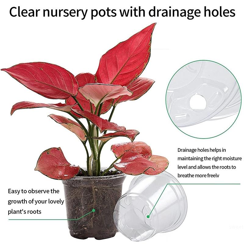 Transparent 10/30Pcs Flowerpot Thickened Plant Nursery Pot Seedling Cup Gardening Transplantation Potted Flower Pot Planters