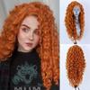 AIMEYA Synthetic Long Deep Wave Lace Front Wig for Women Grey Curly Free Part Natural Hairline Colorful Cosplay Daily Party Wigs