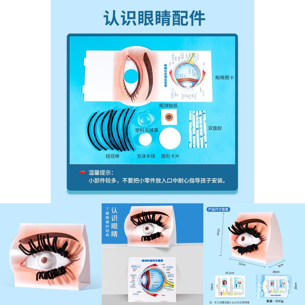 Simulierte Augenstruktur Bausatz Experiment Spielzeug Set Für Kinder