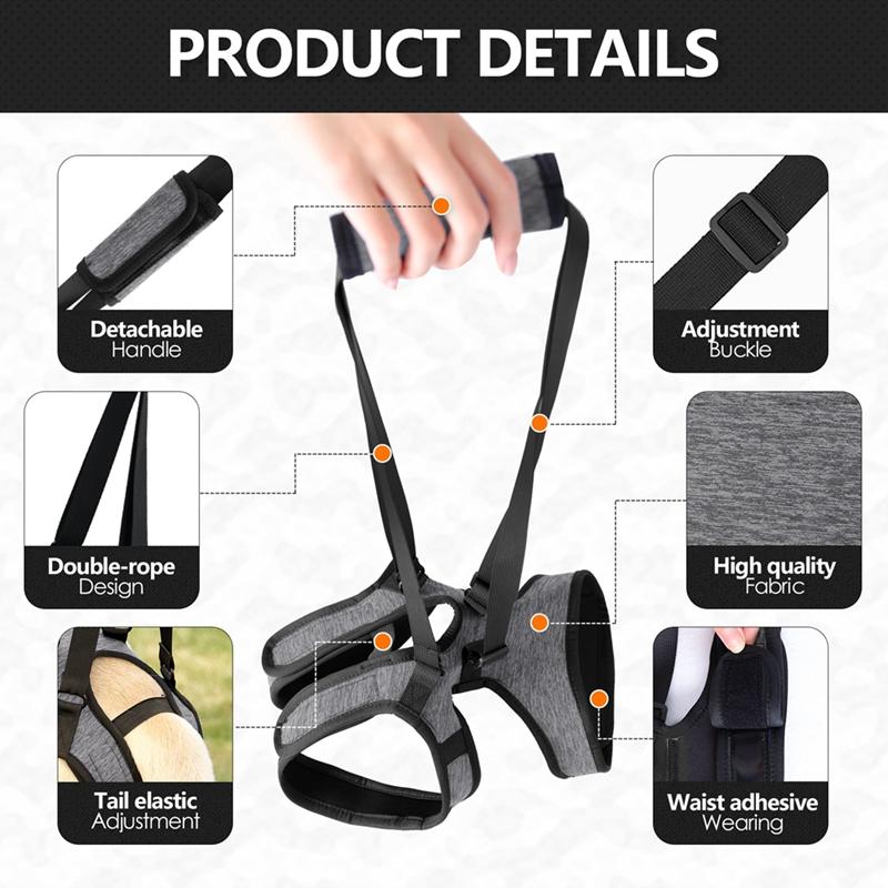 Postroj pro asistenci zadní nohy psa Rehabilitační pás pro staré a zraněné psy Asistované vodítko
