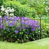 10Pcs Decorative Garden Fence Border 13x24Inch Iron Wire Panel Border Fencing Animal Barrier for Outdoor Yard and Patio