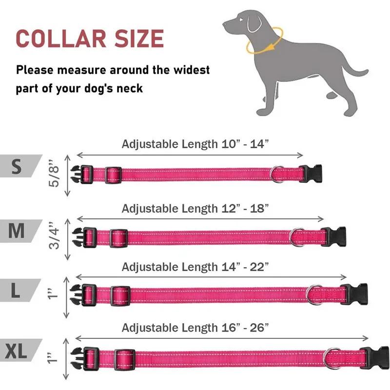Adjustable Reflective Dog Collar Nylon Safety Pet Traction Rope Strap for Small To Medium-Sized Pets