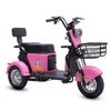 High Capacity 600 Jin Customizable Color Household Electric Passenger Tricycle for Commuting