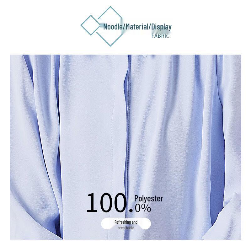 Women's Long Sleeve Professional Blouse