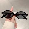 Vogue Leopard Sun Shades Fashion Oval Designer Women Sun Glasses Lady Decoration Sunglasses for Travelling Driving