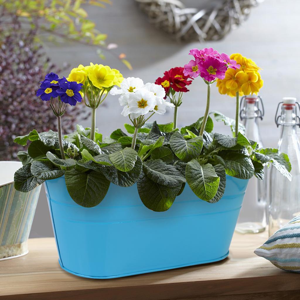 Ulele 6 Pack Metal Hanging Flower Pots Double-Hook Hanging Buckets Flower Pots Planters Metal Iron Hanging Plant Pots Fence Plan