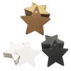 100Pcs Star Shaped Gift Tags Art Crafting Toy Home Decoration Gift Label Tags for Home Party Favors Wedding Graduation Drawing