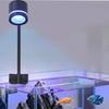 Peixes e animais aquáticos – Iluminação de aquário
