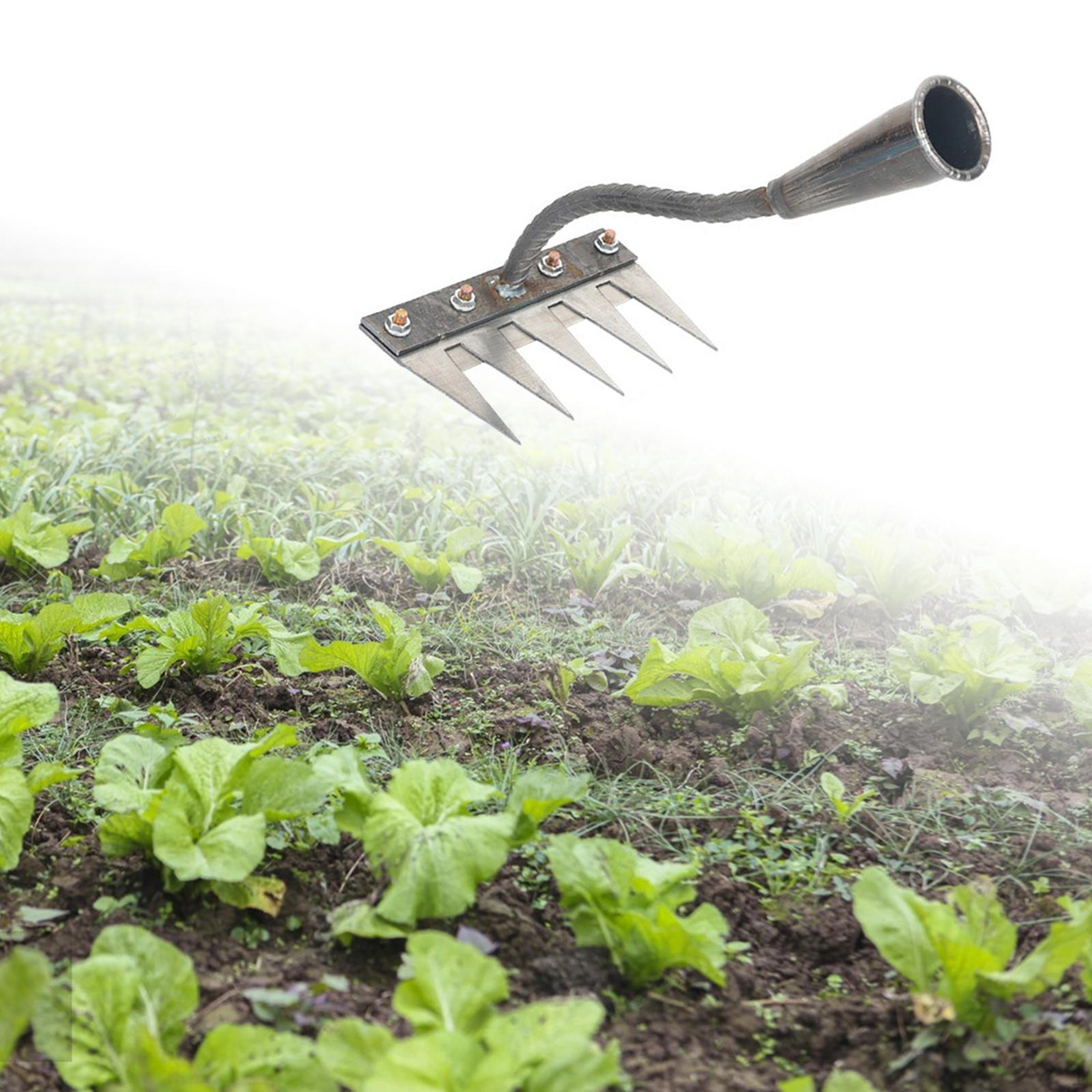 

Garden Rake Hand Agriculture Weeding Tool Heavy Duty for Loosening Digging Soil 5 Tine