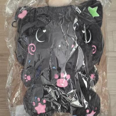 (sealed NCT Wish Riku Giant Wish Doll 30cm Kuri