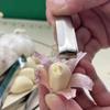 Stainless Steel Manual Tweezers Multifunctional Hair Plucking Clip  Quickly Garlic Peeling