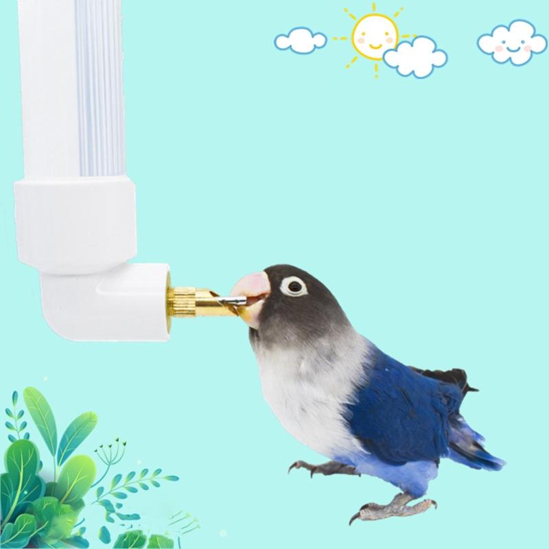 Water Bottle Automatic Feeder for Birds Guinea Pigs Hamsters Small Animals No Drip No Leak for Pet Cages 4.4oz