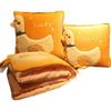 Foldable 2-in-1 Pillow Blanket: Thickened Office Nap, Sofa & Car Cushion