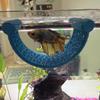 Betta Fish Hammock Floating Decor Betta Fish Tank Resting Hideout Floating Betta Bed for Small Aquariums And Nano Tanks